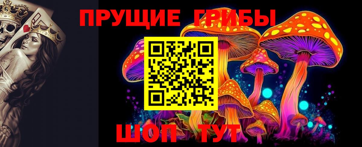 Новосибирск  Галлюциногенные грибы Psilocybine cubensis  Вход с VPN 